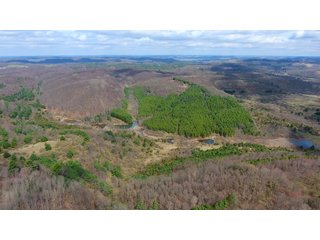 Property photo 27 - LAND AUCTION - 2,596+/- ACRES IN 28 TRACTS IN COSHOCTON & MUSKINGUM COUNTIES, OHIO